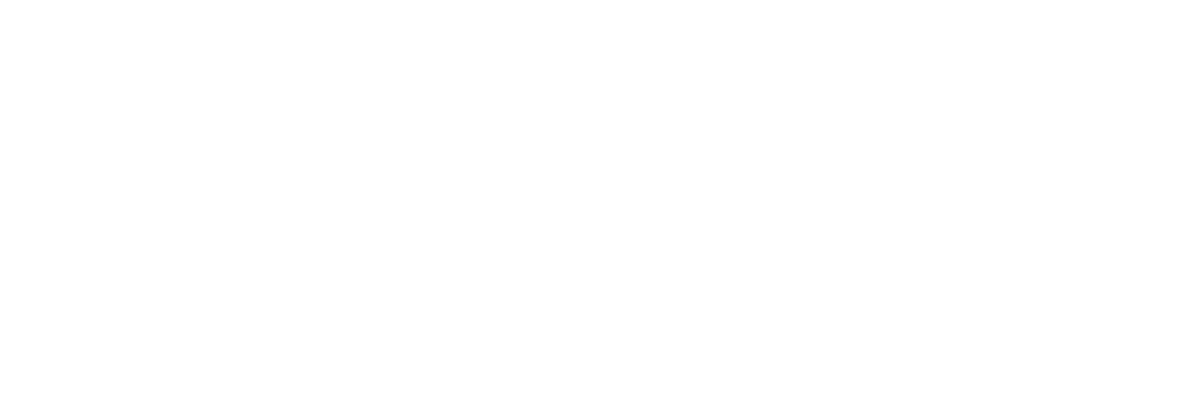 SHIPLUS